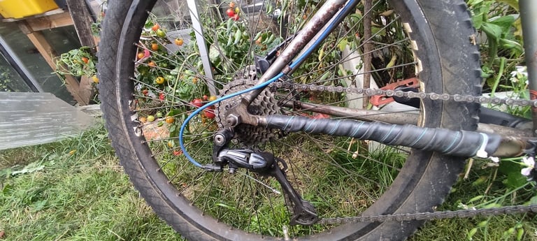 Steel in Scotland Bikes, Bicycles Cycles for Sale Gumtree