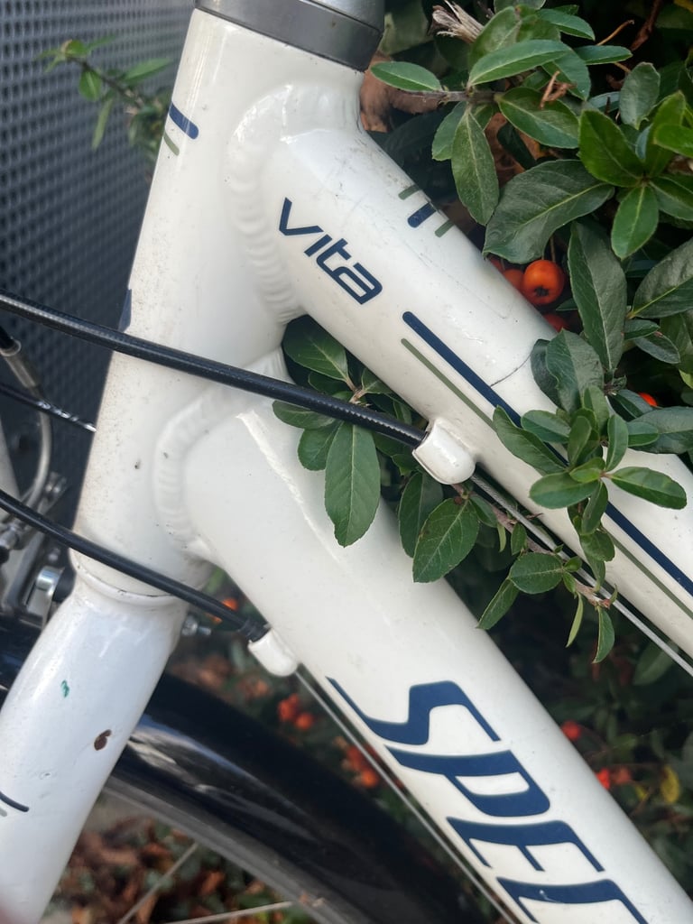 Women's Specialized Vita medium 