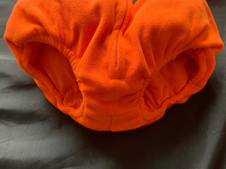 Halloween Baby & Small Dog Pumpkin Costumes 