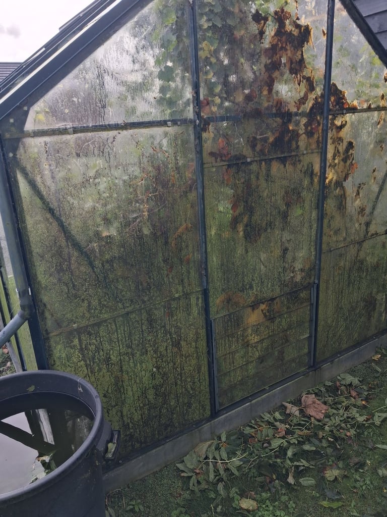 image for Greenhouse for sale