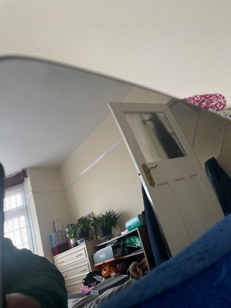 Astra door mirror