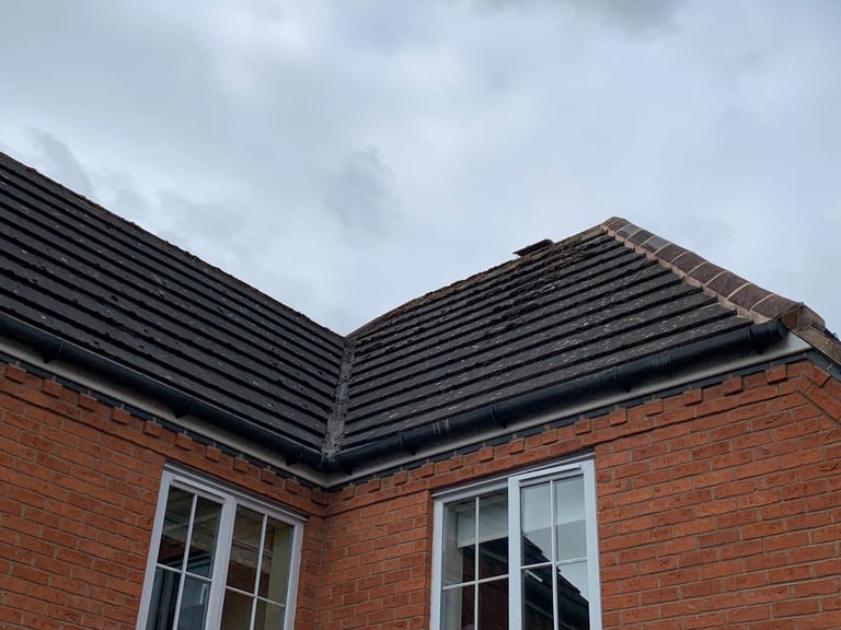 image for Wanted any leaky roofs