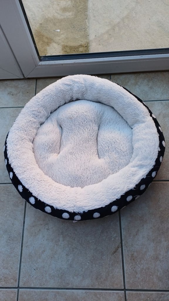 Cat beds, caves, blankets, grooming, scratch posts,litter tray