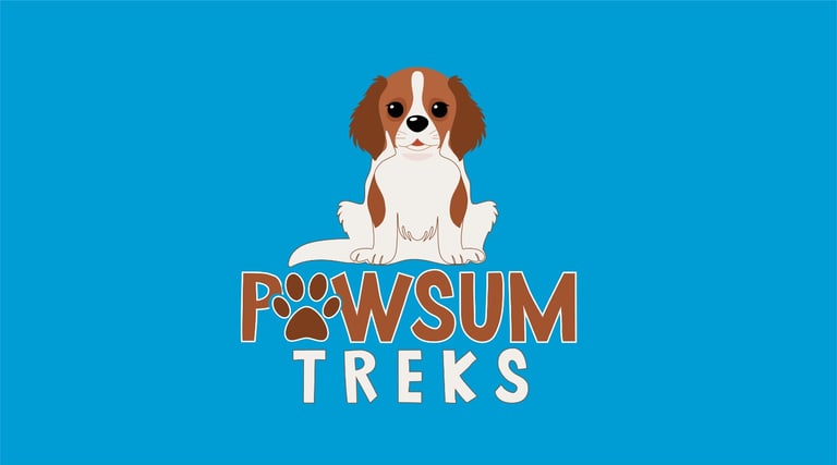 Insured Dog walker Watford, St Albans & Hemel 