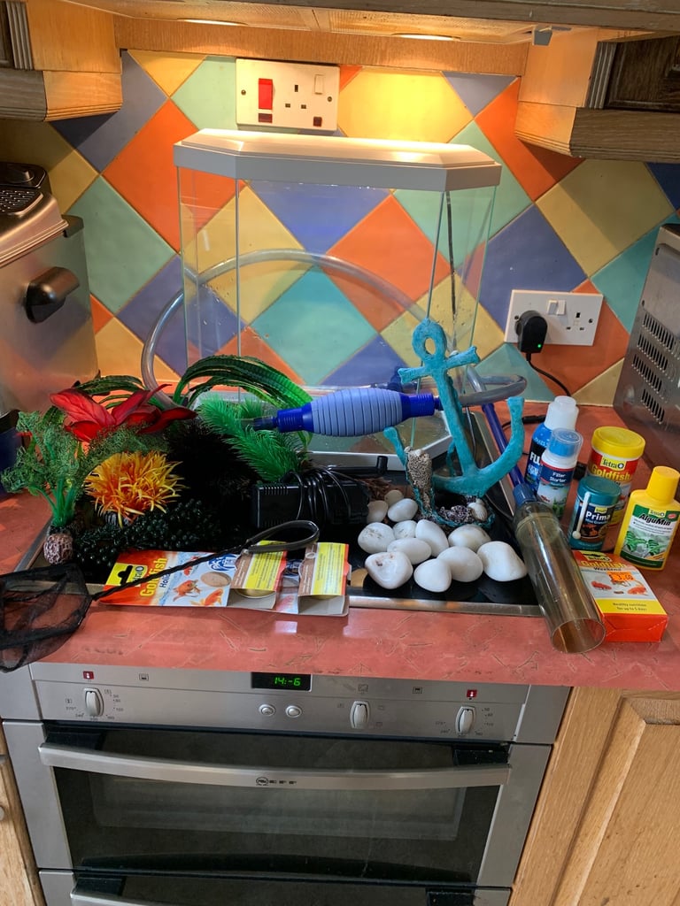 image for Fishtank and accessories 