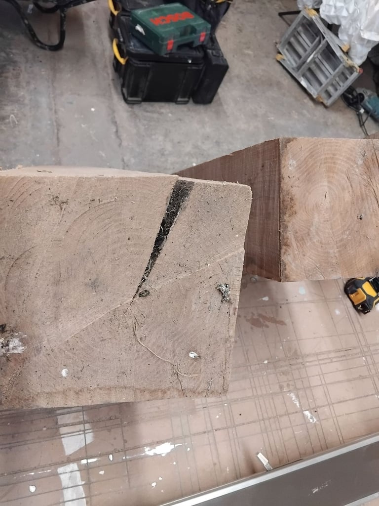 Elm beams 