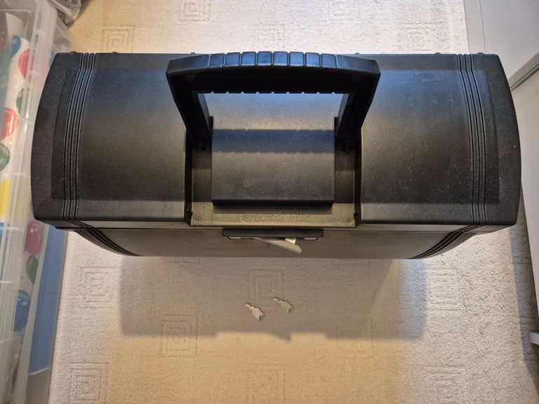 Twin lock personal file system with carry handle and 2 keys