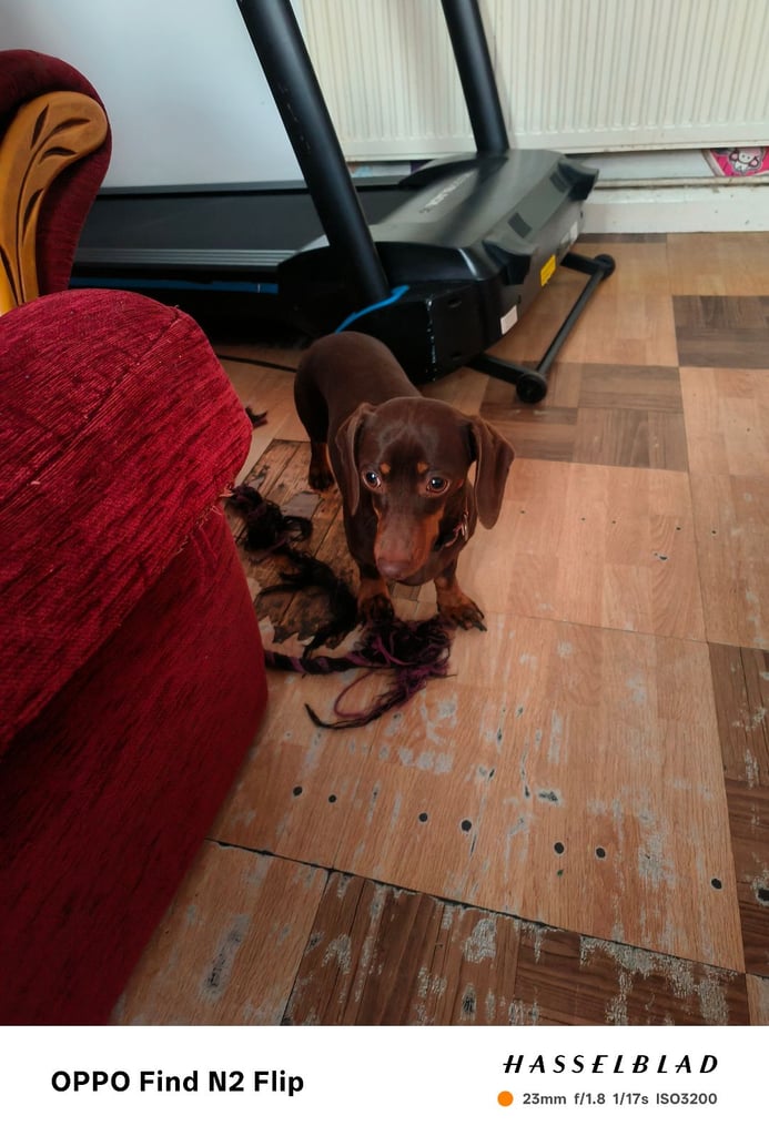 Due to leaving country 