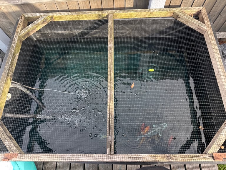 fish tank with pump filter and food 
