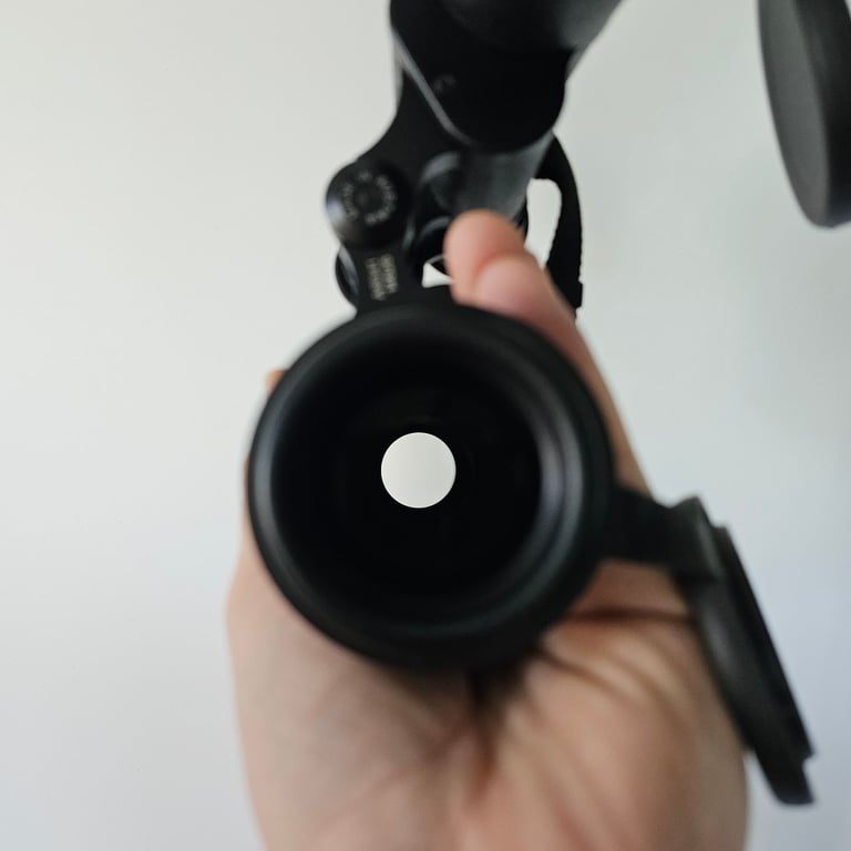 Swarovksi Binoculars 10 x 40 W 