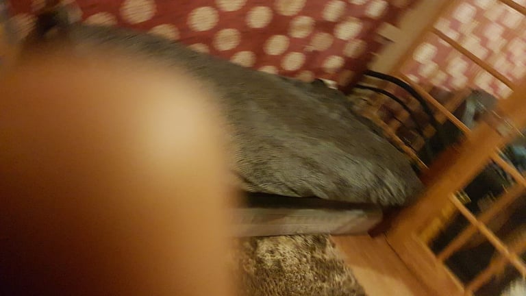 Nice and furnished room available to rent 