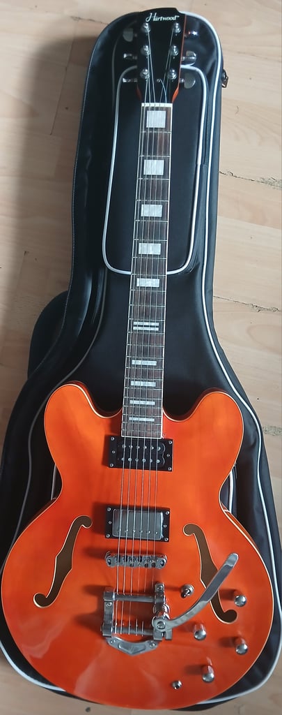 Hartwood 335 with Bigsby plus gigbag