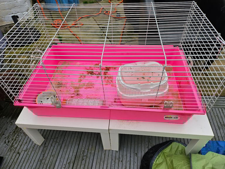 Small animal cage