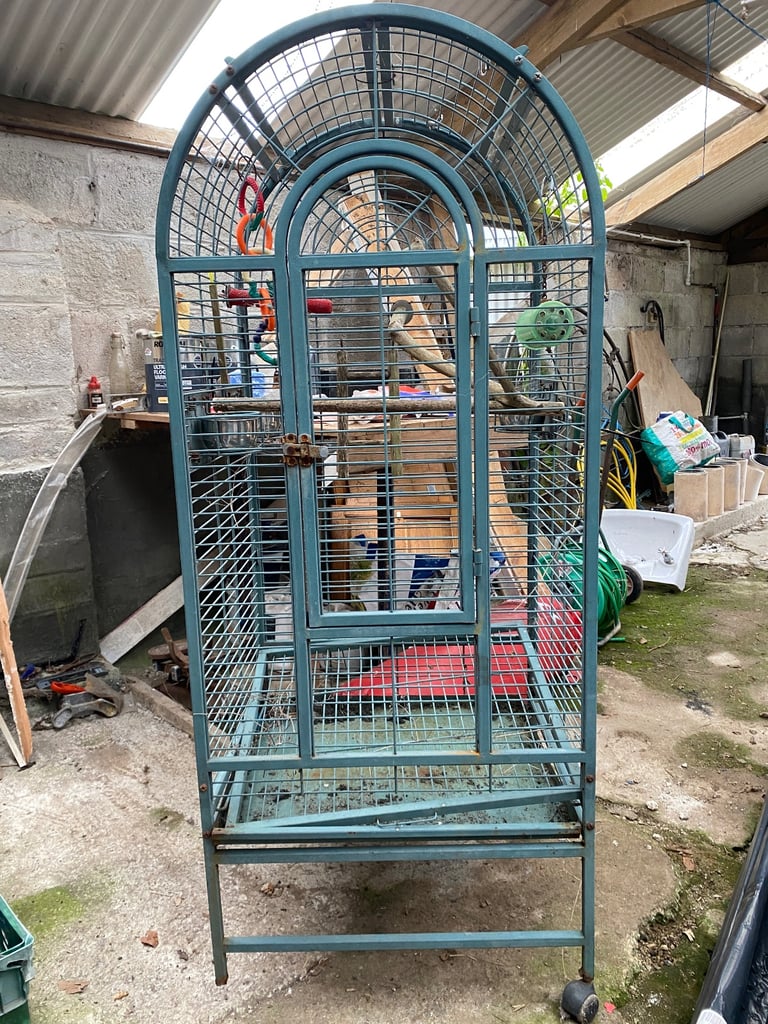 image for bird cage