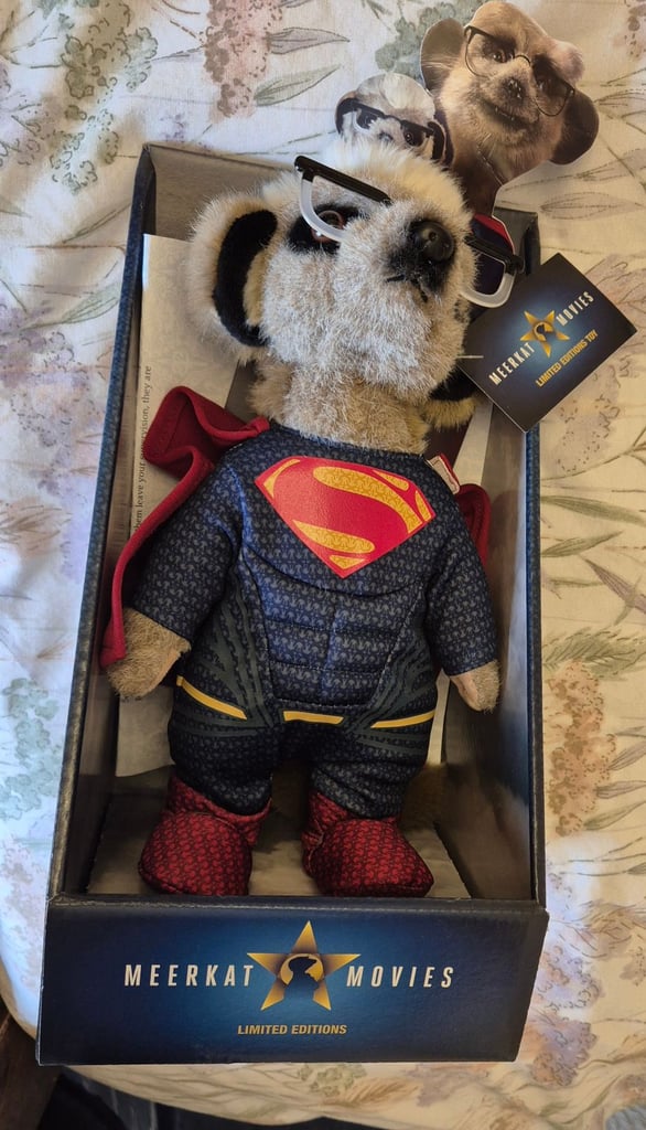 image for SERGEI AS SUPERMAN COMPARE THE MEERKAT
