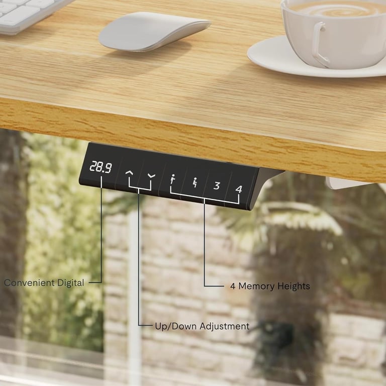 Flexispot Office desk electric 