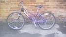 Ladies&#039; / girls&#039; bike (Raleigh)