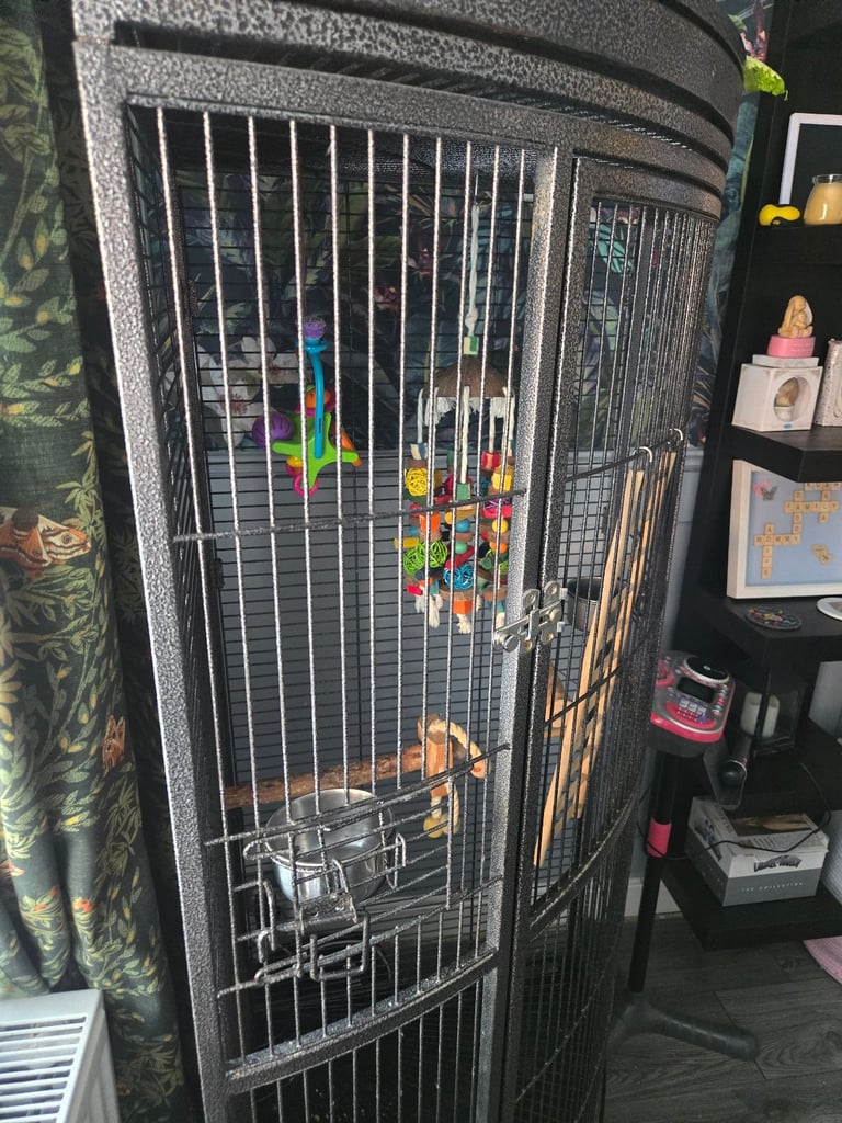 Large corner bird/parrot cage