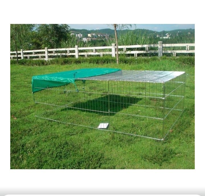 XL Large rabbit run