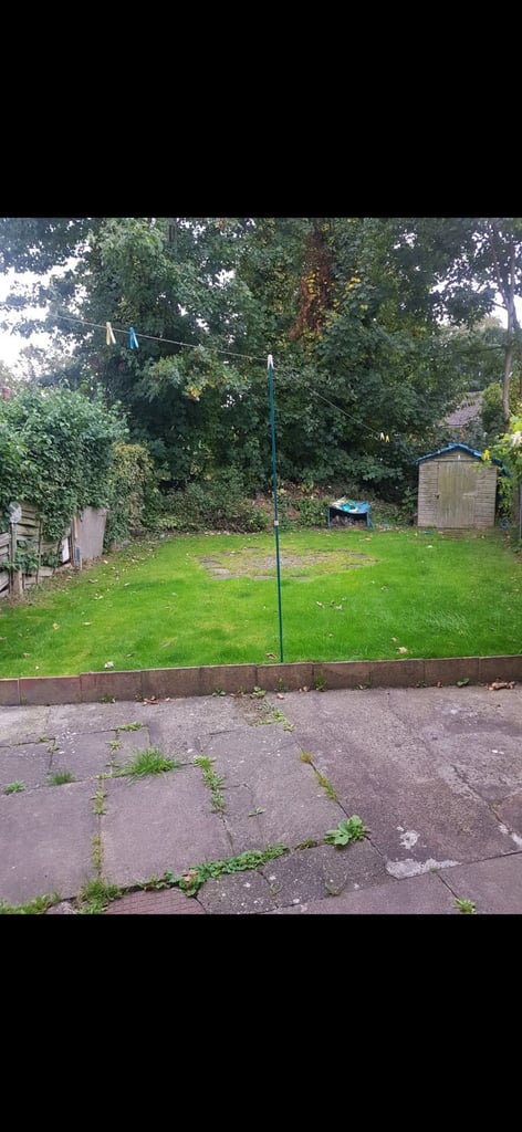 1 bed property wanted!