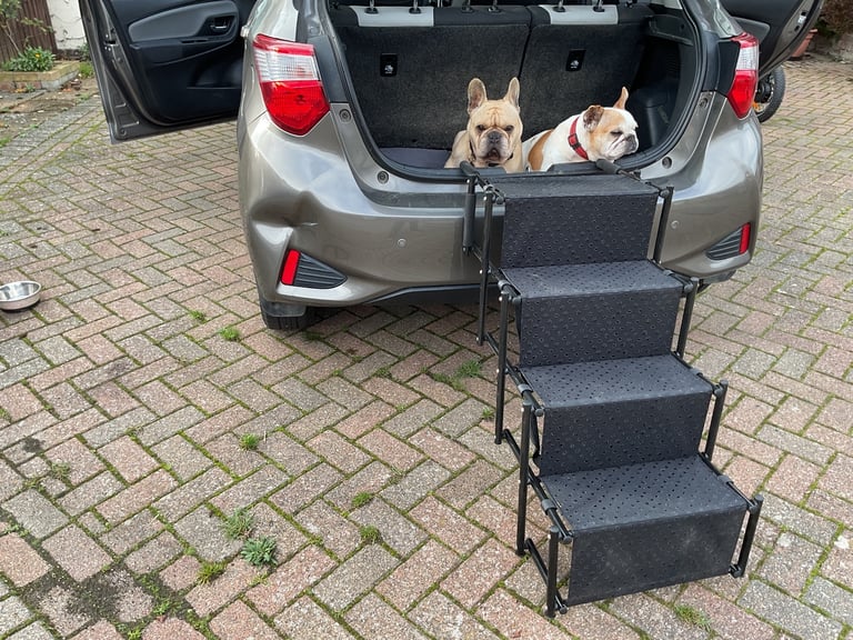 Dog car ramp
