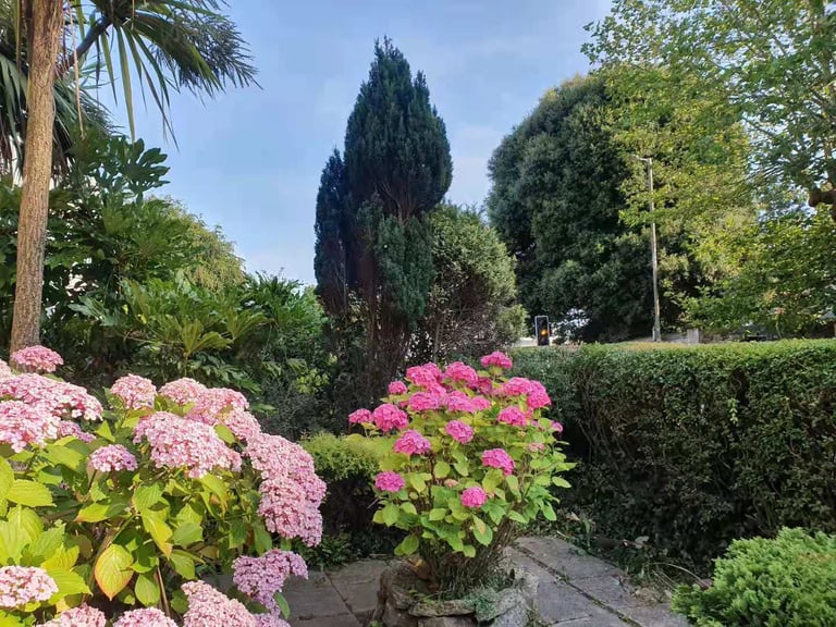 Spacious Double room, Central City, To Rent, Fully Furnished, Bills All Included, PL4