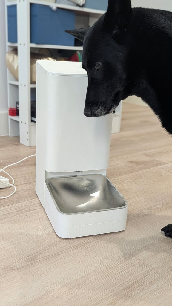 Xiaomi pet feeder 