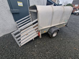 Ifor Williams p6e livestock trailer has rear loading gates 