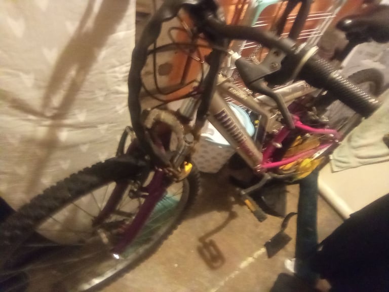Fully working bike 