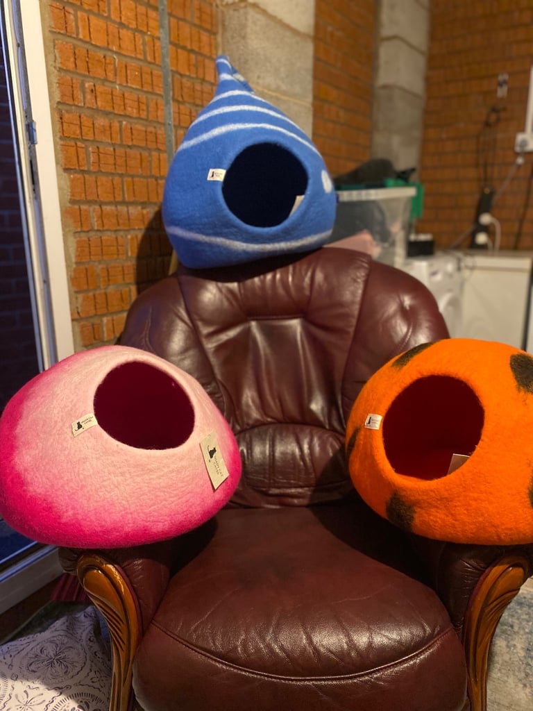 🫐 Blueberry Drop Cat Cave