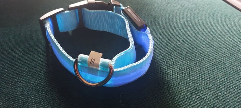 LED light dog's collar