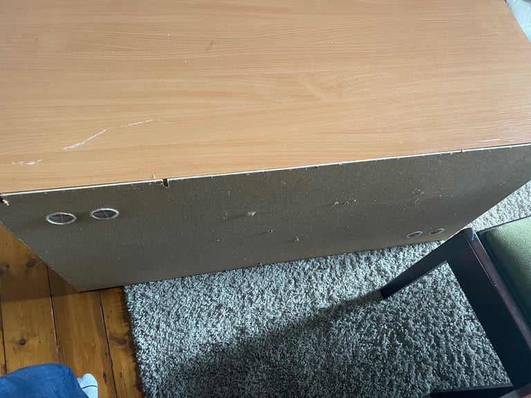 Reptile vivarium setup