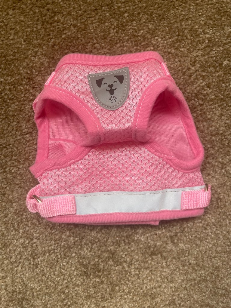 Dog Harness for Small Dog - size S