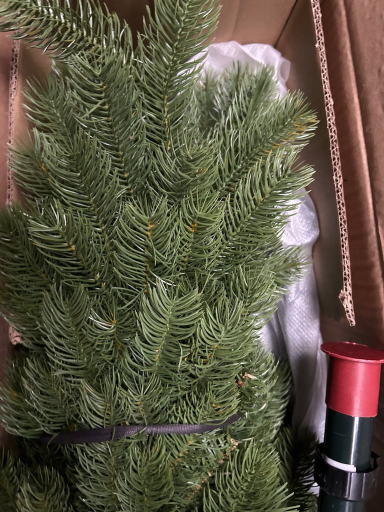 6ft Slim Christmas Tree - Feel Real Bayberry Spruce - Unlit