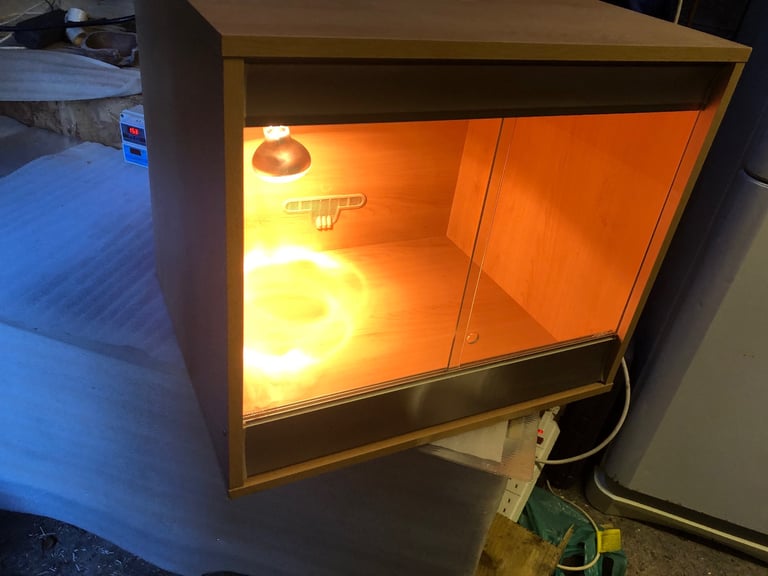 Vivexotic vivarium No Offers please 
