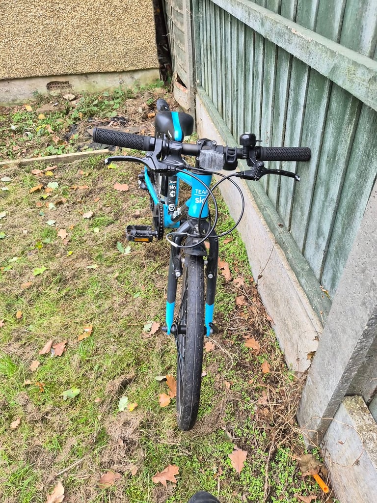 Frog 52 bike blue 16 inch wheel preloved