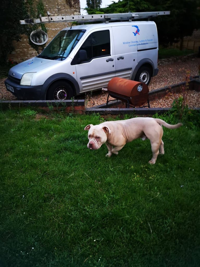 Window Cleaning  Van - spares or repair 