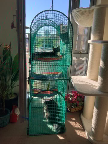 Kittywalk Systems Kittywalk Gazebo CAT OUTDOOR ENCLOSED HAMMOCKS