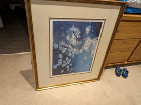 Signed and framed picture 