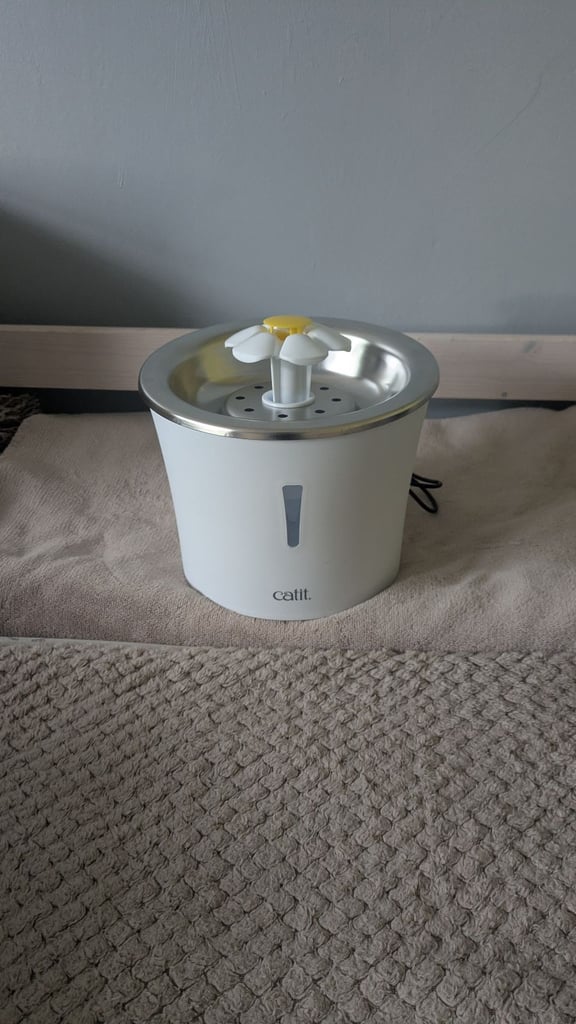 Water fountain for cats 