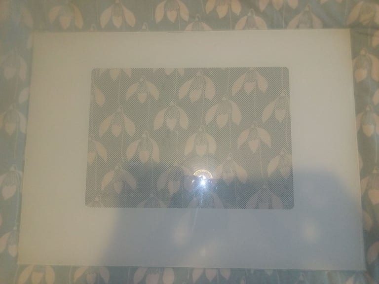 FREE - Large glass panel for kitchen use or otherwise