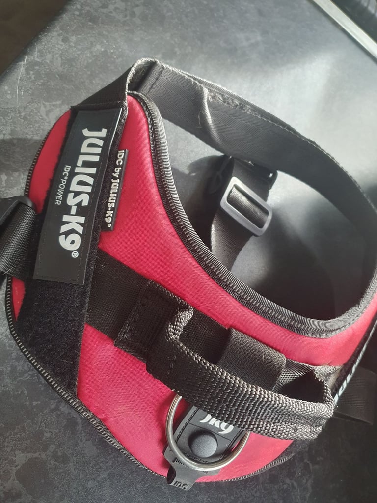 Medium julius k9 harness 