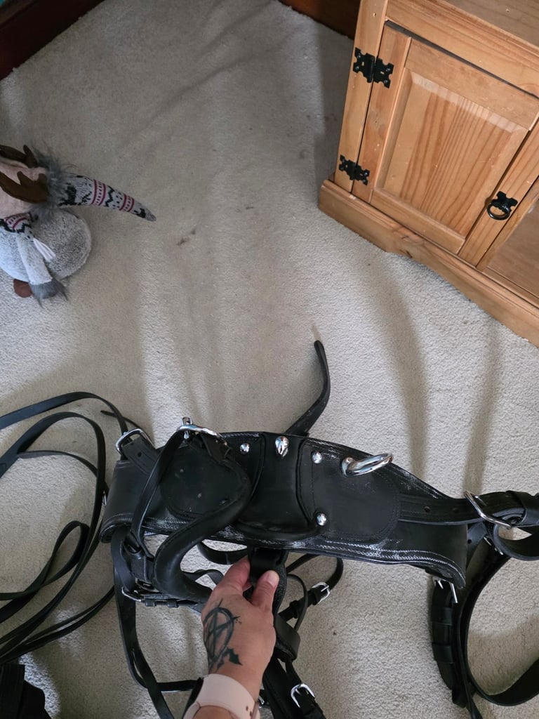 Cob Size Full Black Harness 