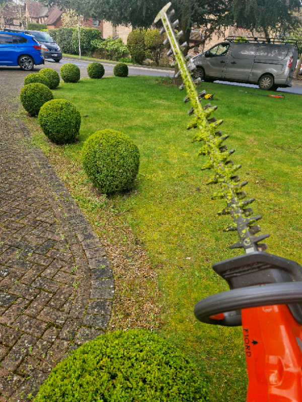 Hedge Trimming & Tree Surgery