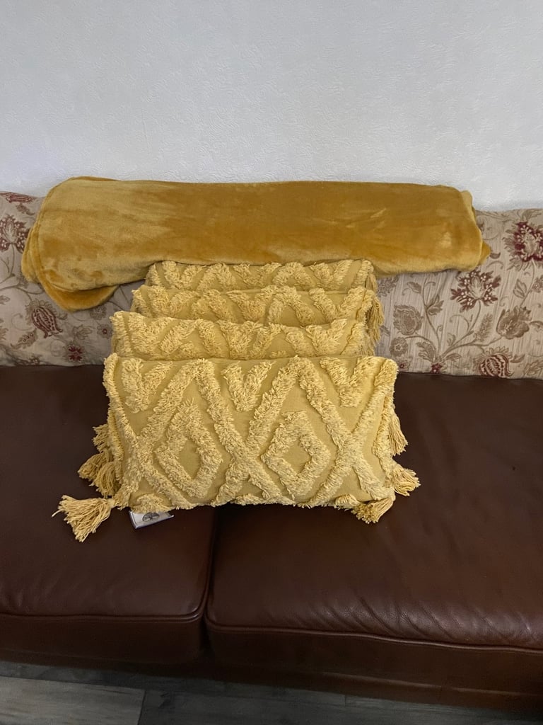 image for 4 oblong cushions and throw 