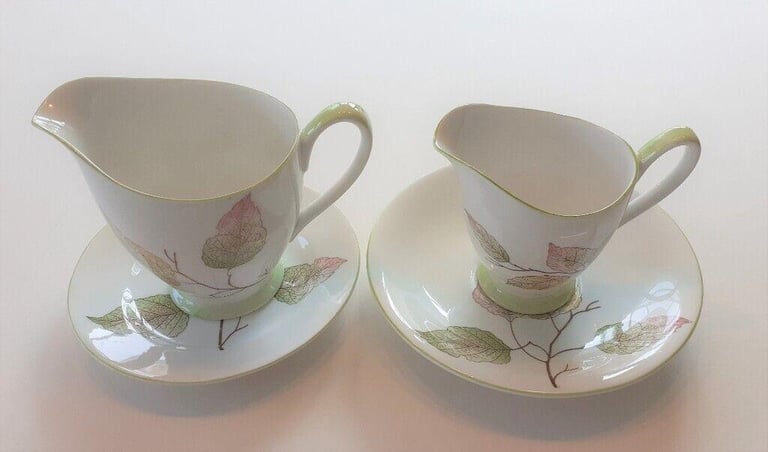 Royal Standard Fine Bone China Tea Set. Unusual pattern.