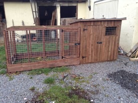 Large Dog Kennel with run
