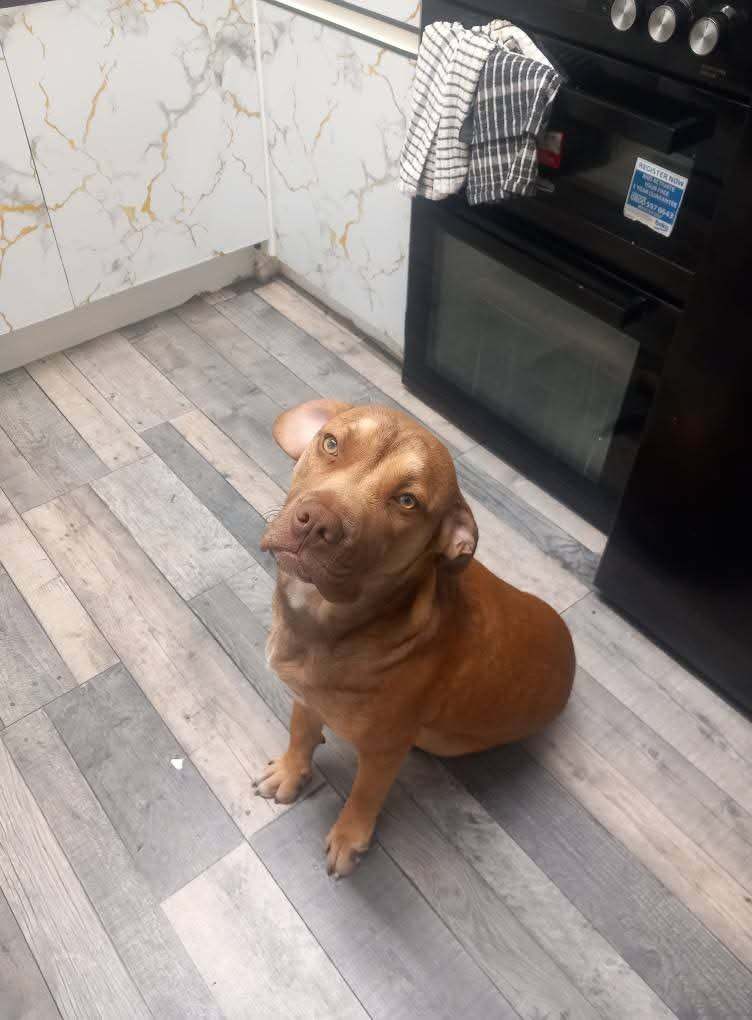 Tayson