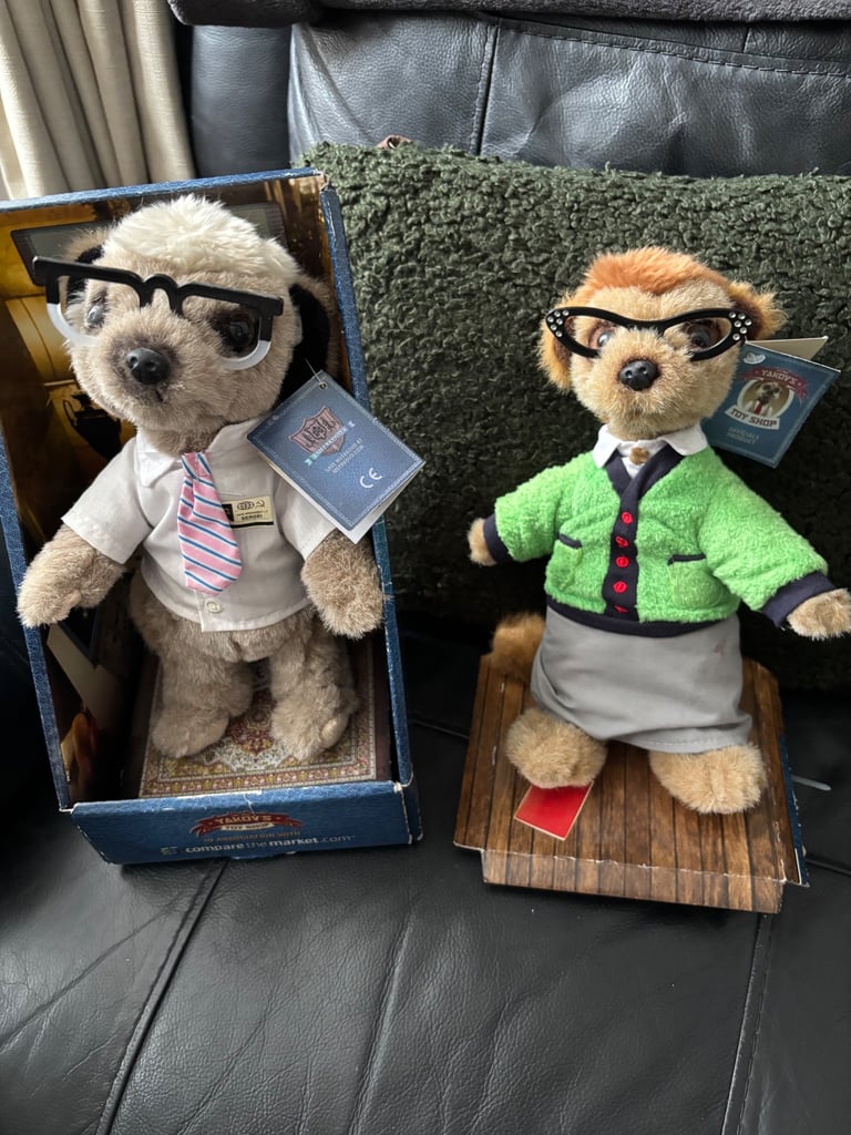 2 meerkats Sergei and Mayia