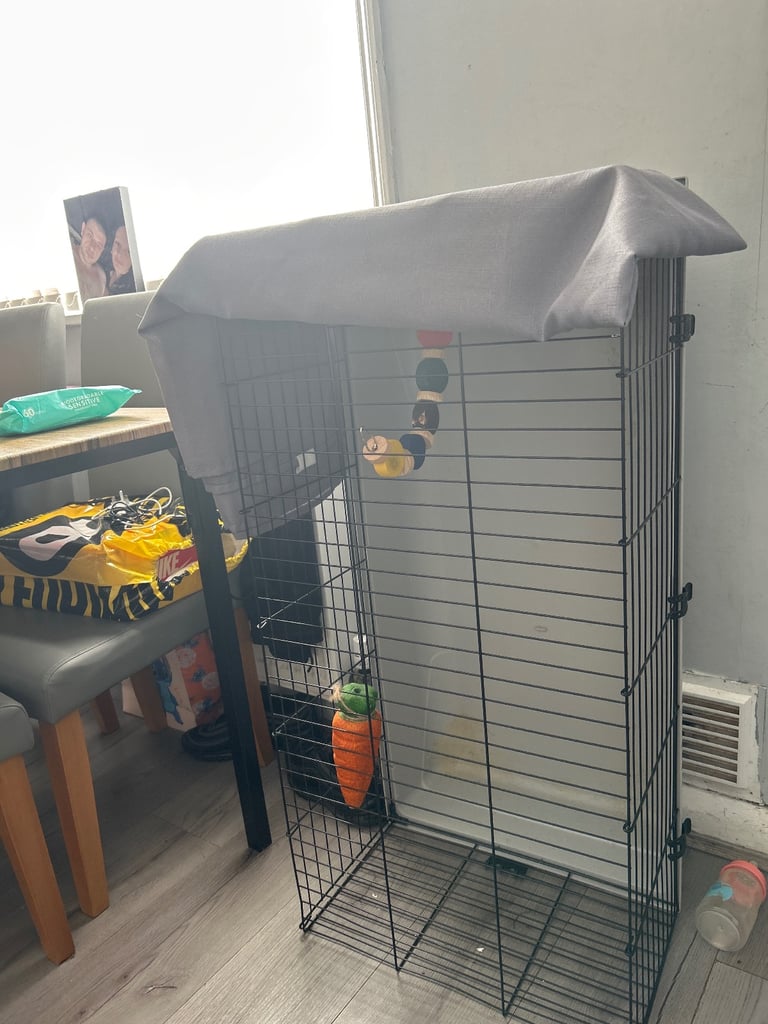 Rabbit cage 